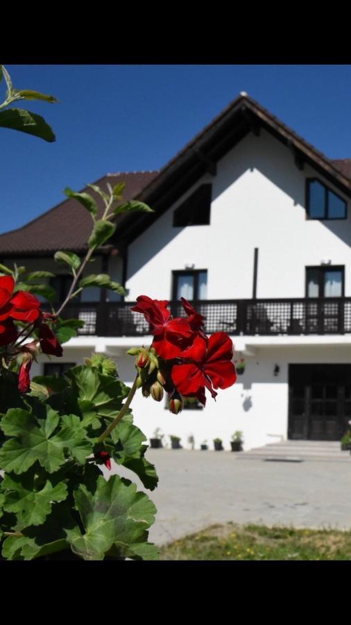 Casa Poienarilor Hotel Simbata de Sus Luaran gambar